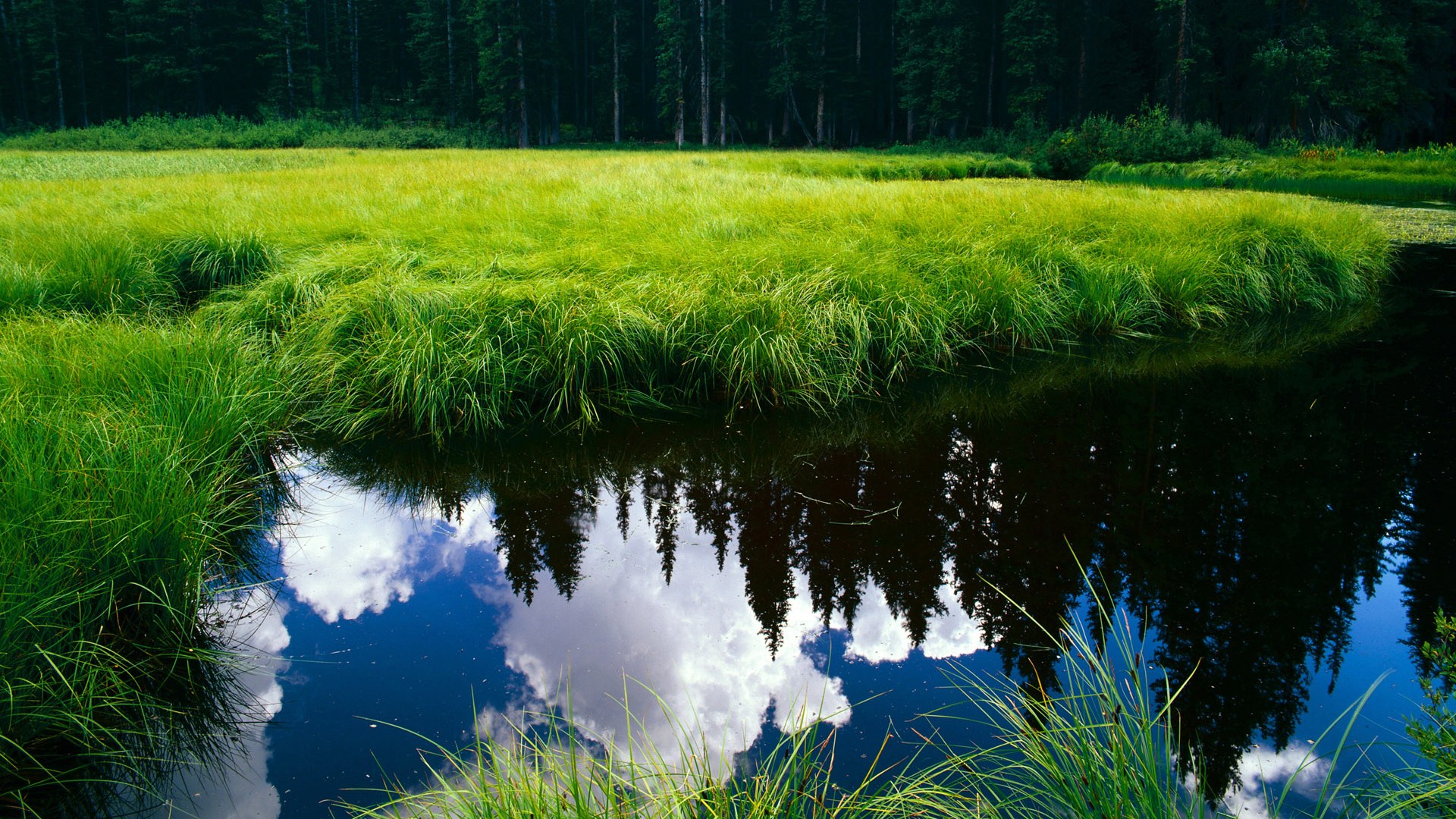 Kaiyun官方登录入口-《全球电竞经济报告：市场规模持续增长》，全球电竞游戏市场规模