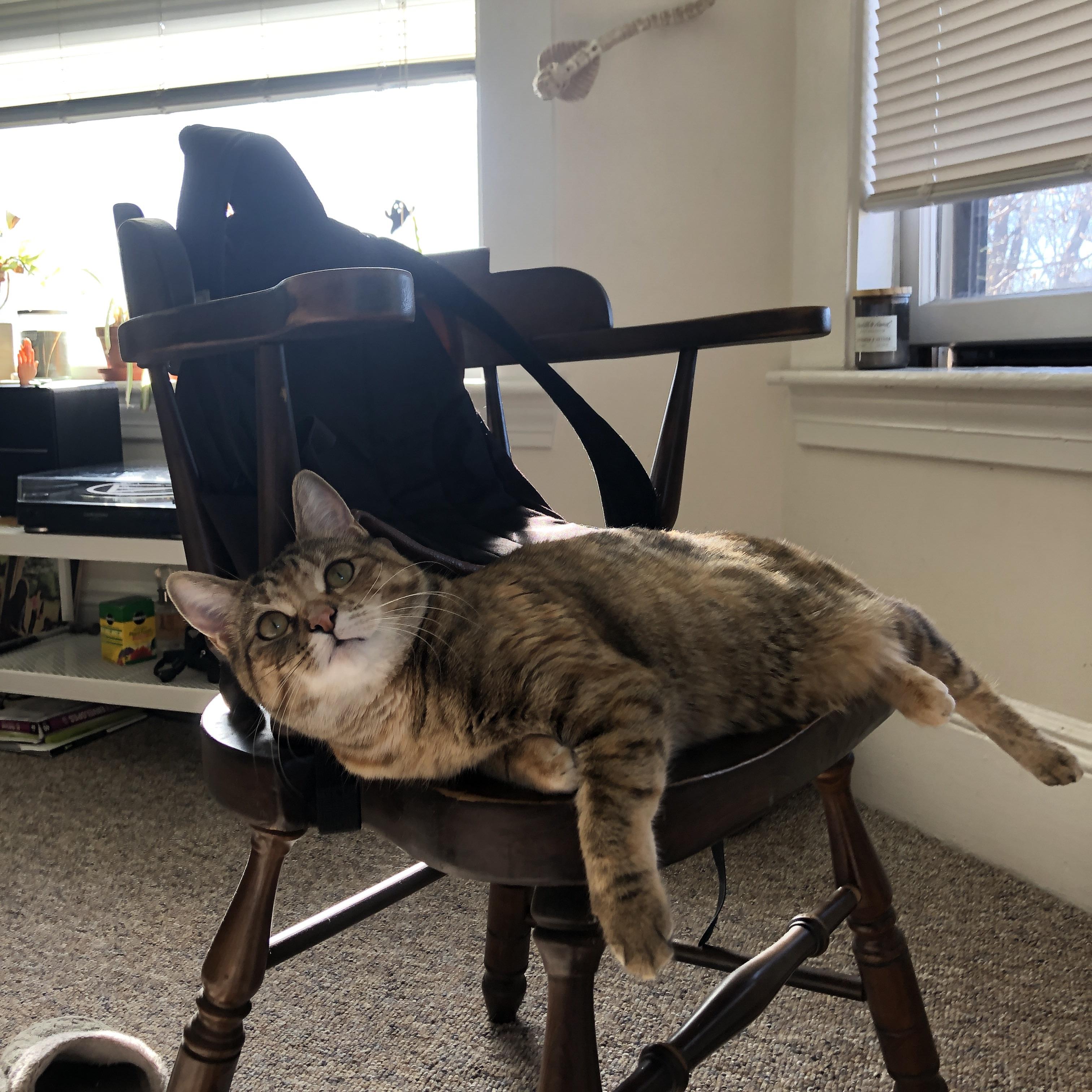 开云官方网页登录-传奇教练回顾：他们改变了联盟的战术思想，传奇足球教练