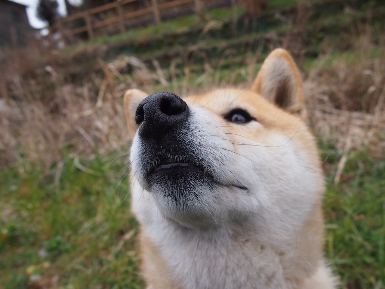 开云网页版登录入口-今年联盟助攻排行榜TOP5，你最喜欢谁的传球？，英雄联盟助攻是什么意思