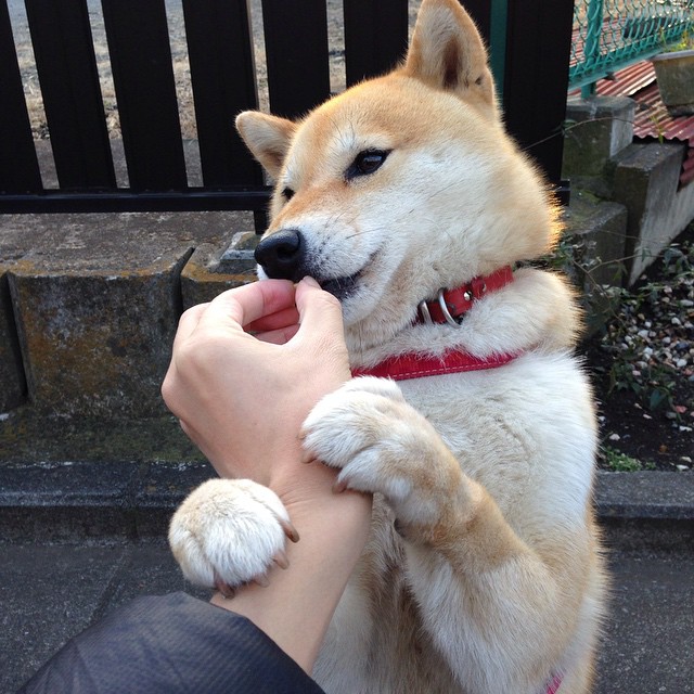 开云网站-全国青少年足球“百校推广计划”全面启动，行业普及迈入快车道