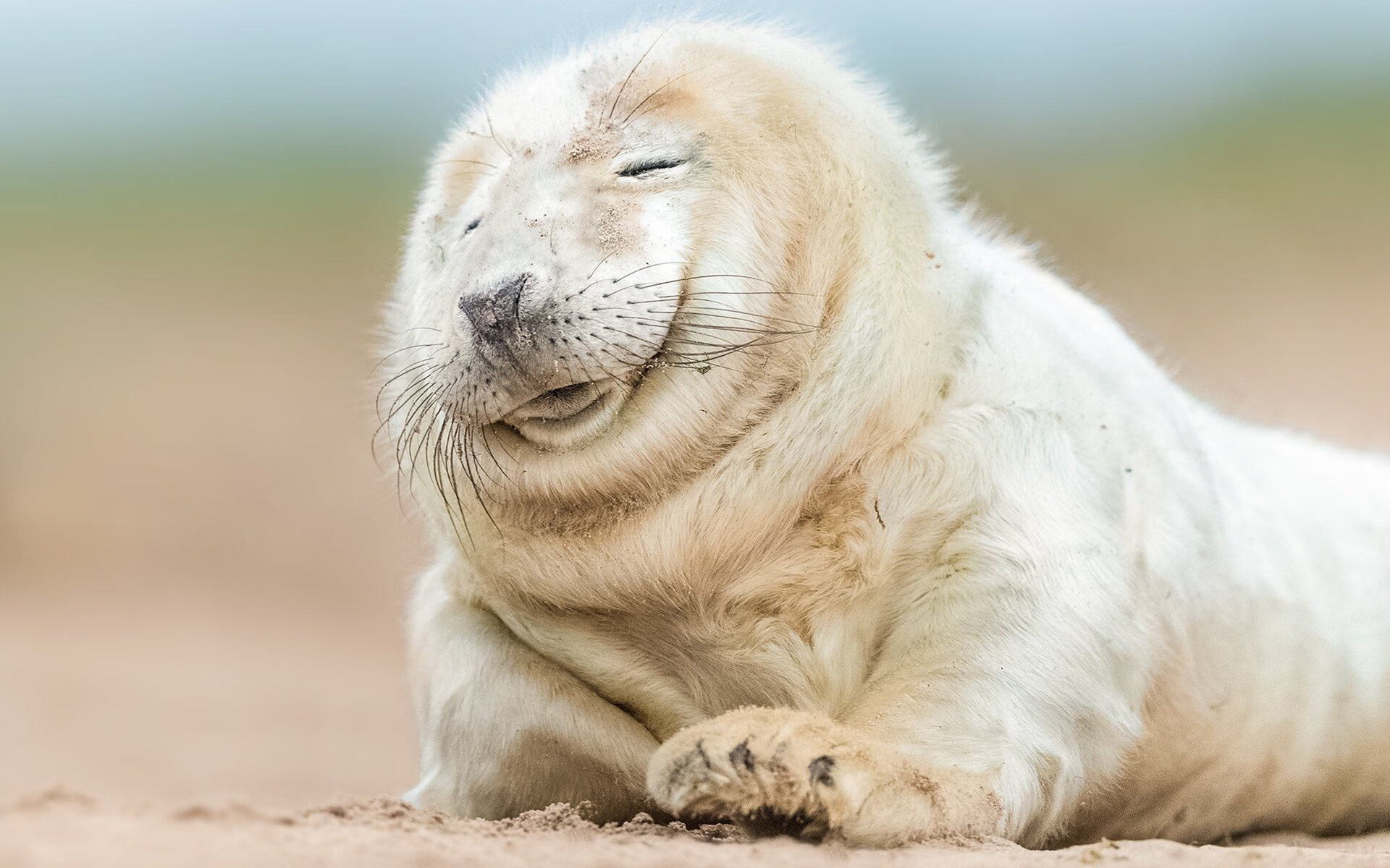 kaiyun体育综合-凯尔特人在与猛龙的激战中，塔图姆关键罚球终结比赛，帮助球队赢得胜利！