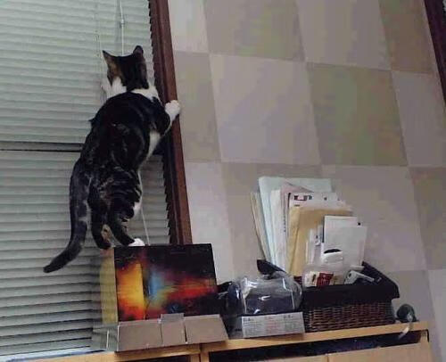 开云官网APP下载-电竞直播平台观看时长创新纪录,电竞直播平台排行