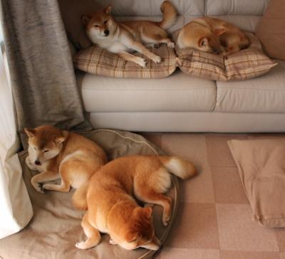 开云网页版-马竞铁桶阵守家，巴塞罗那难攻破，马竞击败巴萨