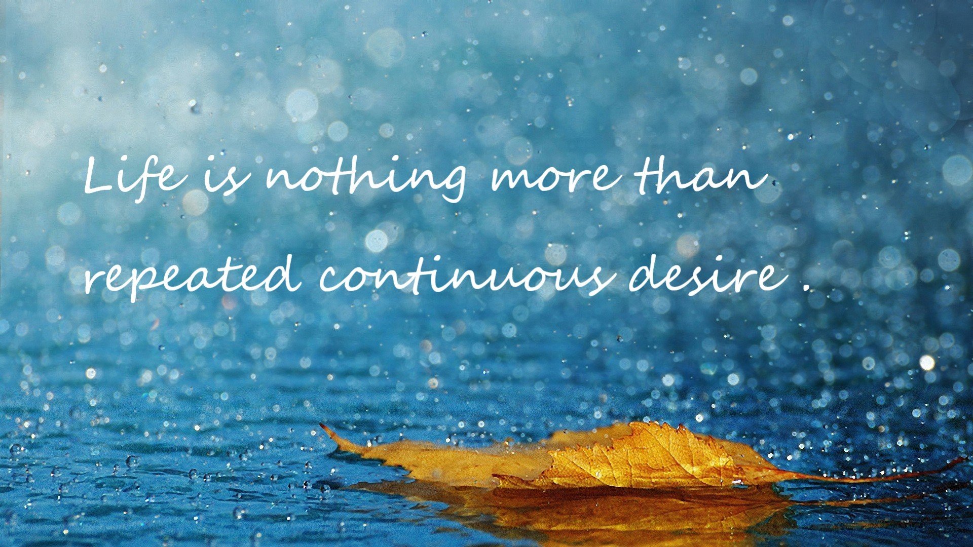 kaiyun.com-世界青少年飞盘比赛火爆青岛,青春无限,2020年的团队飞盘世界锦标赛