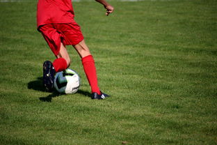 开云官方网页登录-中国篮球教练员战术执行能力评估体系，中国篮球教练员培训等级