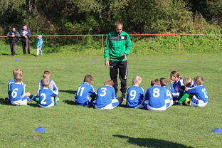 开云官方网页登录-中国篮球教练员战术执行能力评估体系,中国篮球教练员培训等级