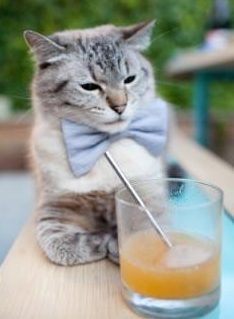 kaiyun网站-国足对手战术变化响应时间评估,国足局势分析