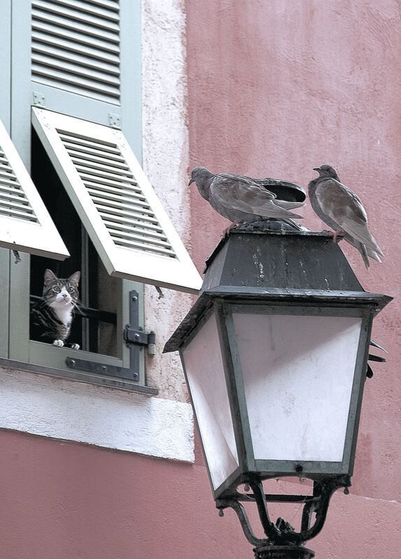 kaiyun体育综合-国足年度球员在战术执行中的站位热图,国足技战术