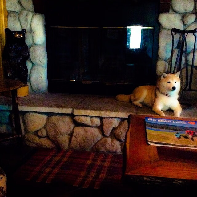 开云体育-赫罗纳精准长传打穿对手防线，赫罗纳队服