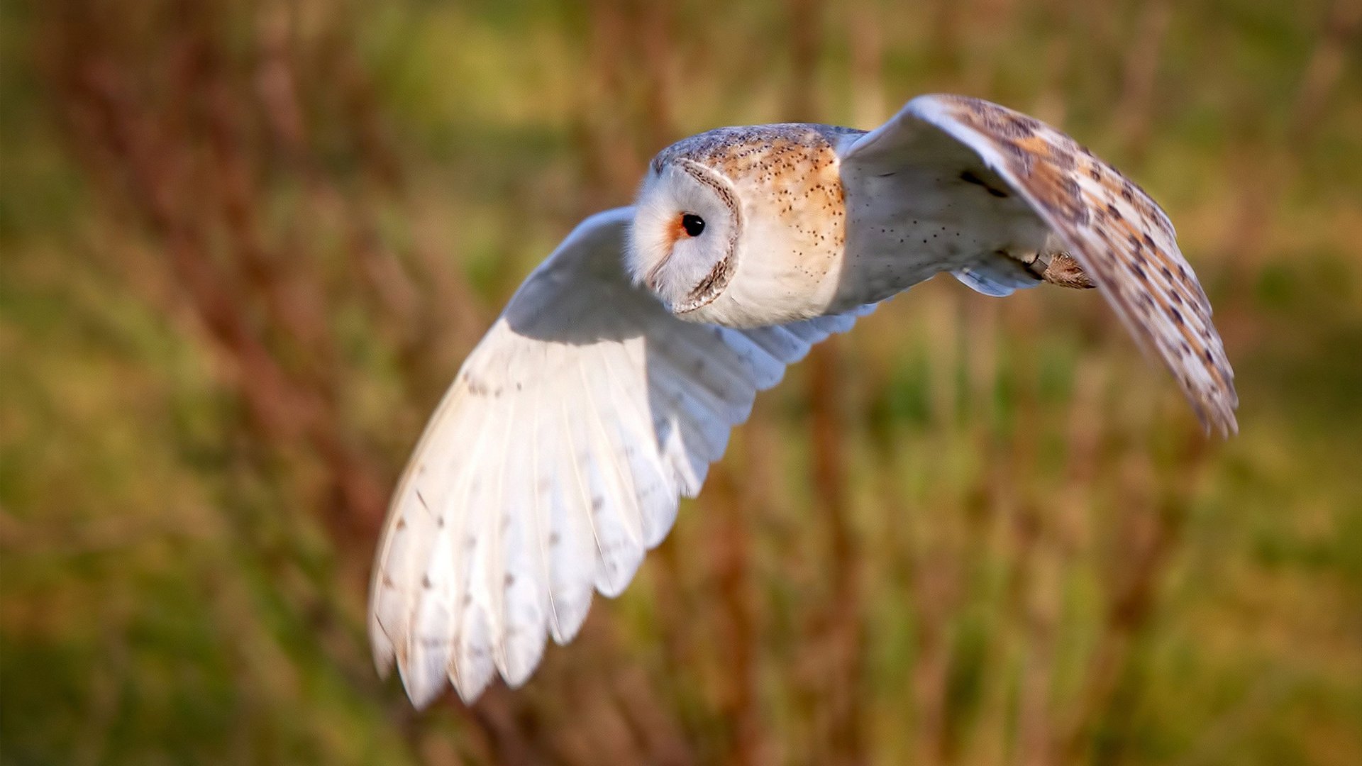 Kaiyun官方登录入口-篮网小将连续训练三小时展现极高专注力，篮网 训练