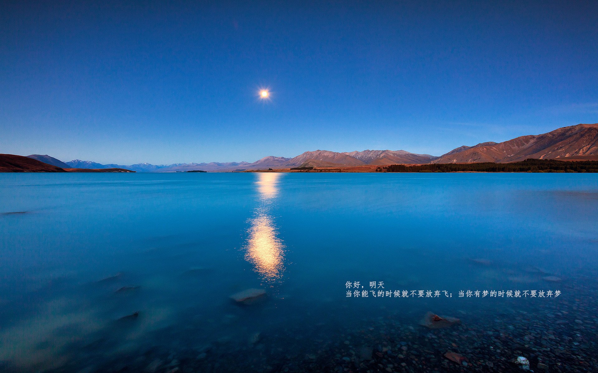 Kaiyun(中国)开云-自由泳接力摩纳哥团队协作出色，自由泳接力决赛